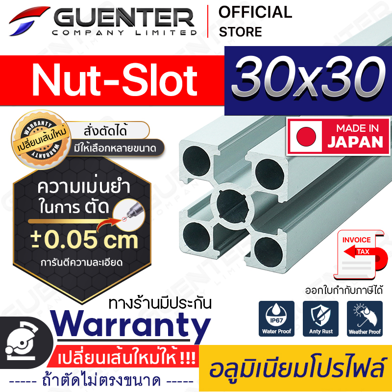 อลูมิเนียมโปรไฟล์-30×30-Nut-Slot---Warranty-JP-Guenter.co