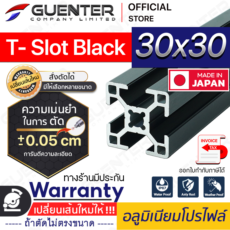 อลูมิเนียมโปรไฟล์-30×30-T-Slot-Black---Warranty-JP-Guenter.co