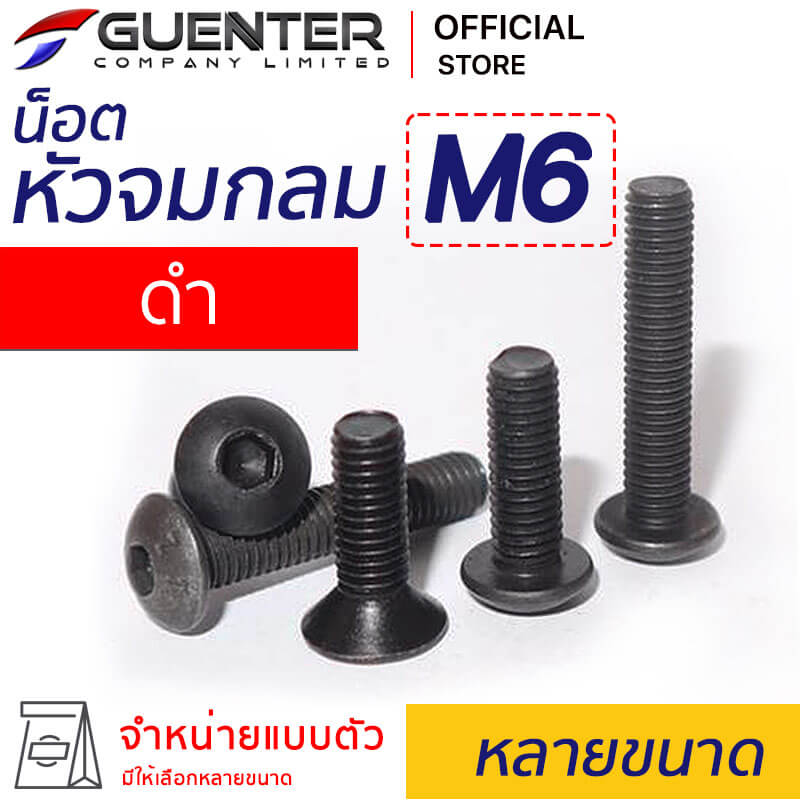 น็อตหัวจมกลมดำ สกรูหัวจมกลมดำ M6 หลายขนาด - Guenter.co.th