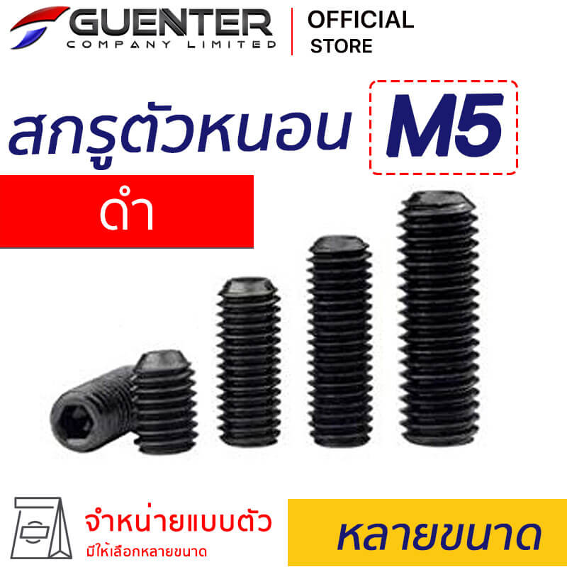 สกรูตัวหนอนดำ น็อตตัวหนอนดำ M5 หลายขนาด - Guenter.co.th