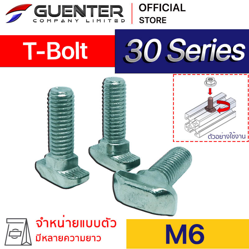 T-Bolt M6 30 Series - Web - Guenter.co.th
