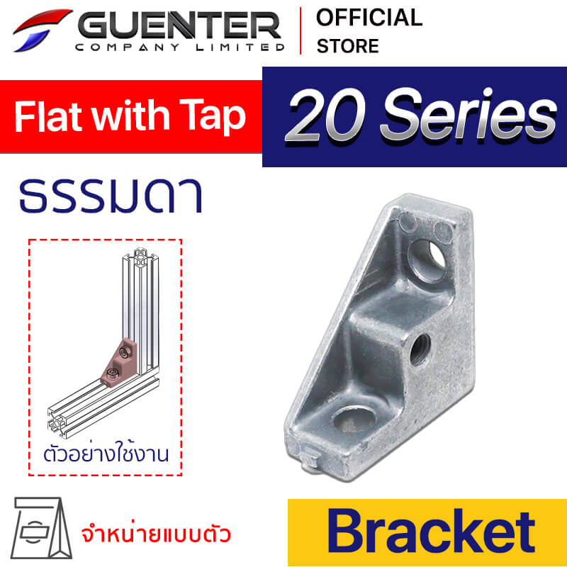 Bracket Flat with Tap 20 Series - Web - Guenter.co.th