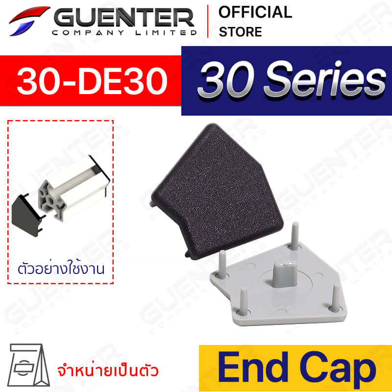 End Cap 30 DE30 - 30 Series - ฝาปิดปลายอลูมิเนียมโปรไฟล์ซีรี่ 30 - Web - Guenter.co.th