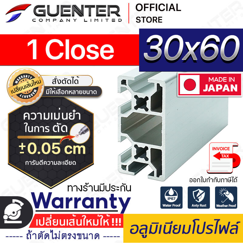 อลูมิเนียมโปรไฟล์-30×60-1-Close---Warranty-JP-Guenter.co